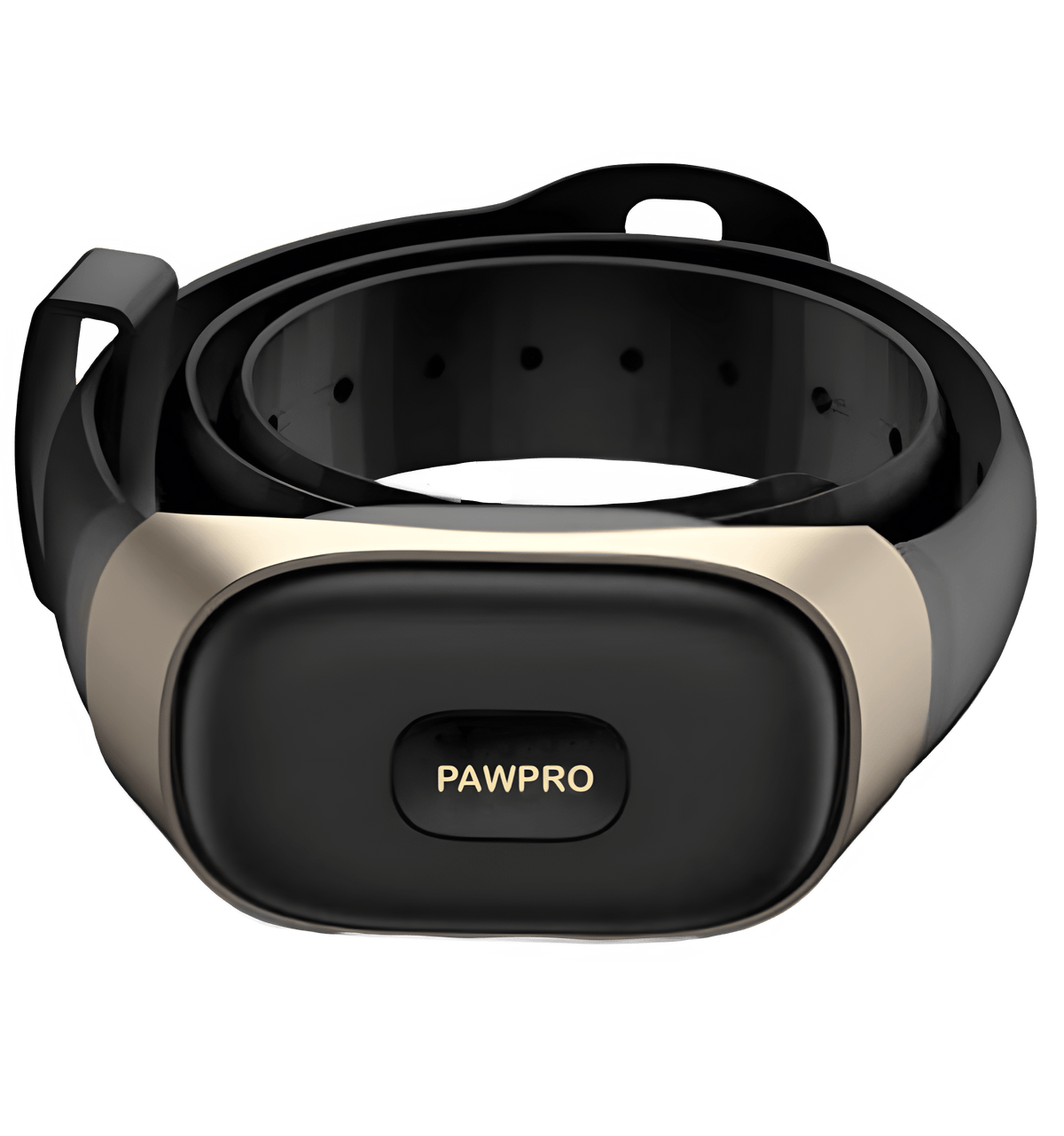 PAWPRO PP7 Ekstra Halsbånd (för 2:a hund)