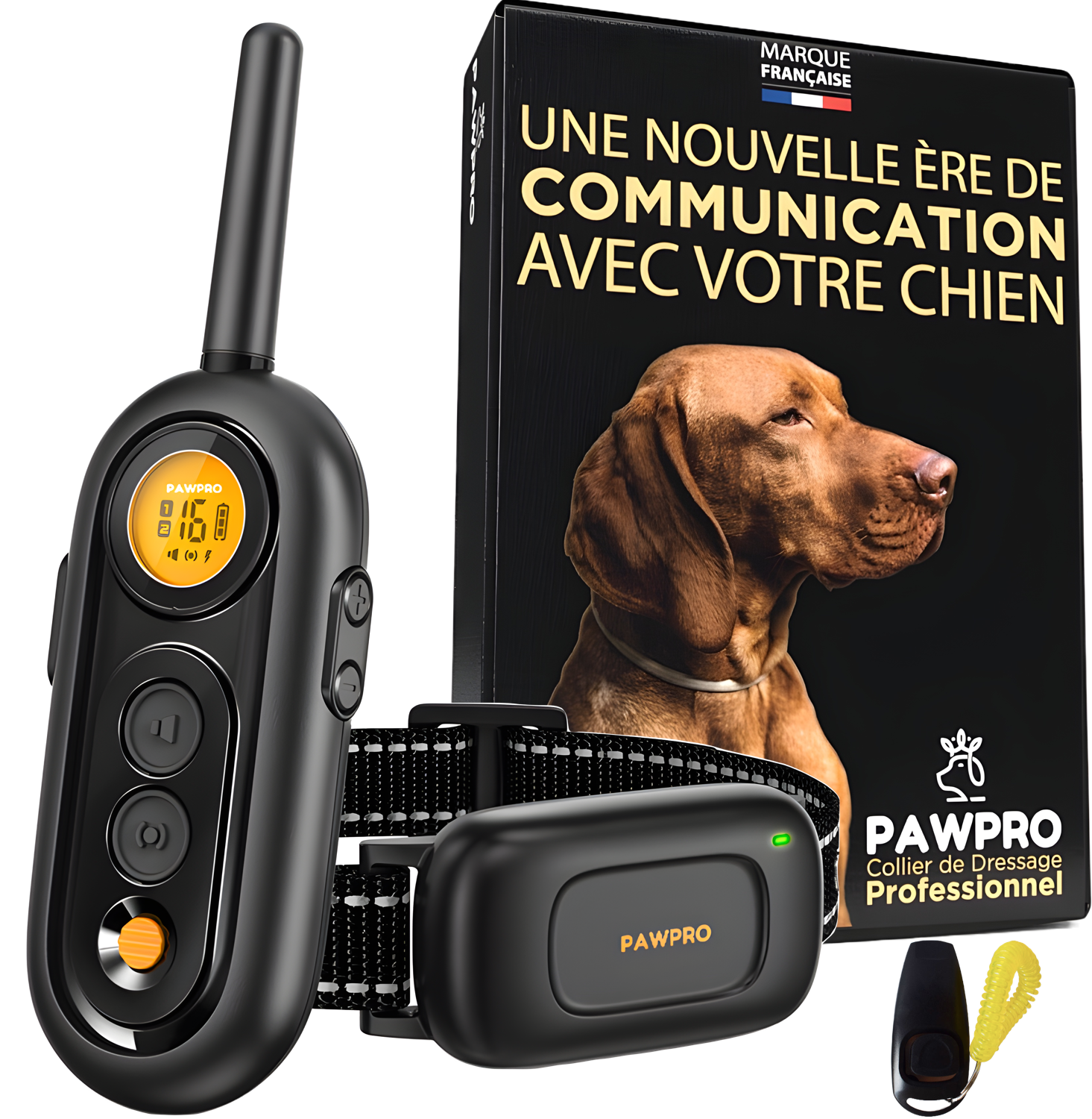 Comment choisir le bon Collier de Dressage pour votre chien ?