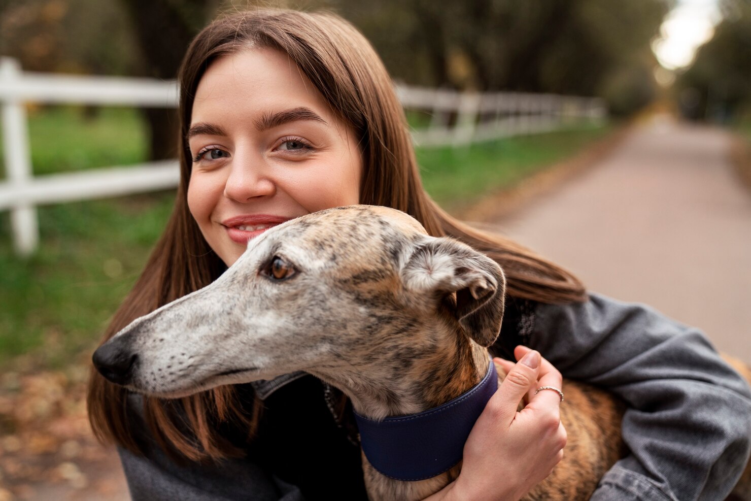 Comment entraîner votre Chien à l'aide d'un Collier Électrique ?