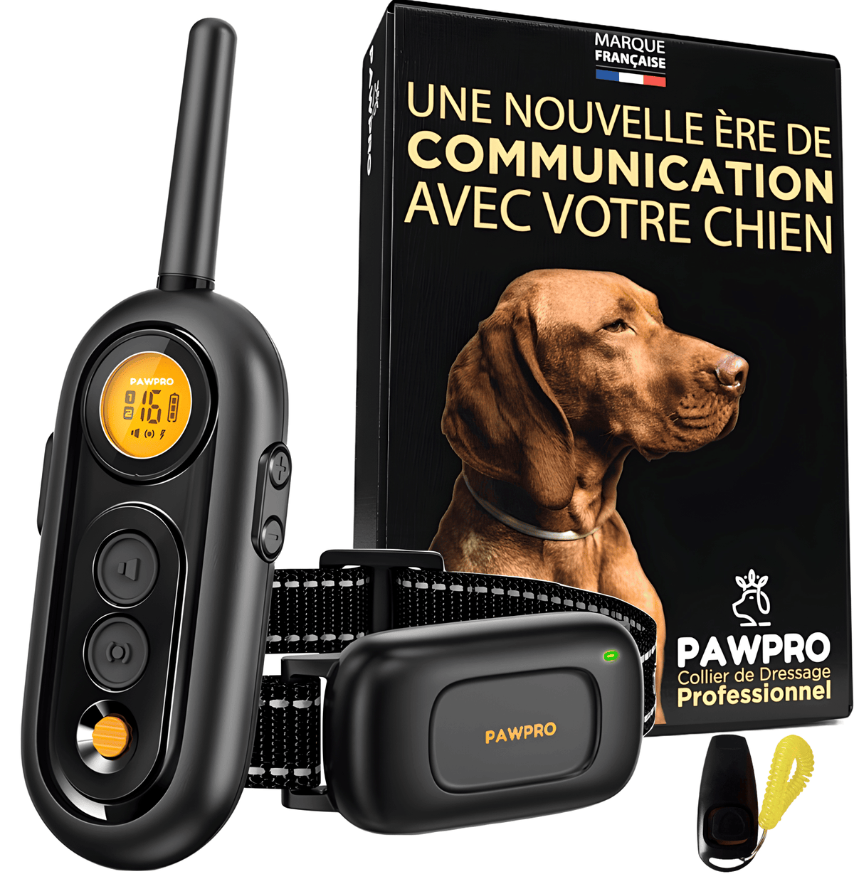 Collier de Dressage PAWPRO PP6