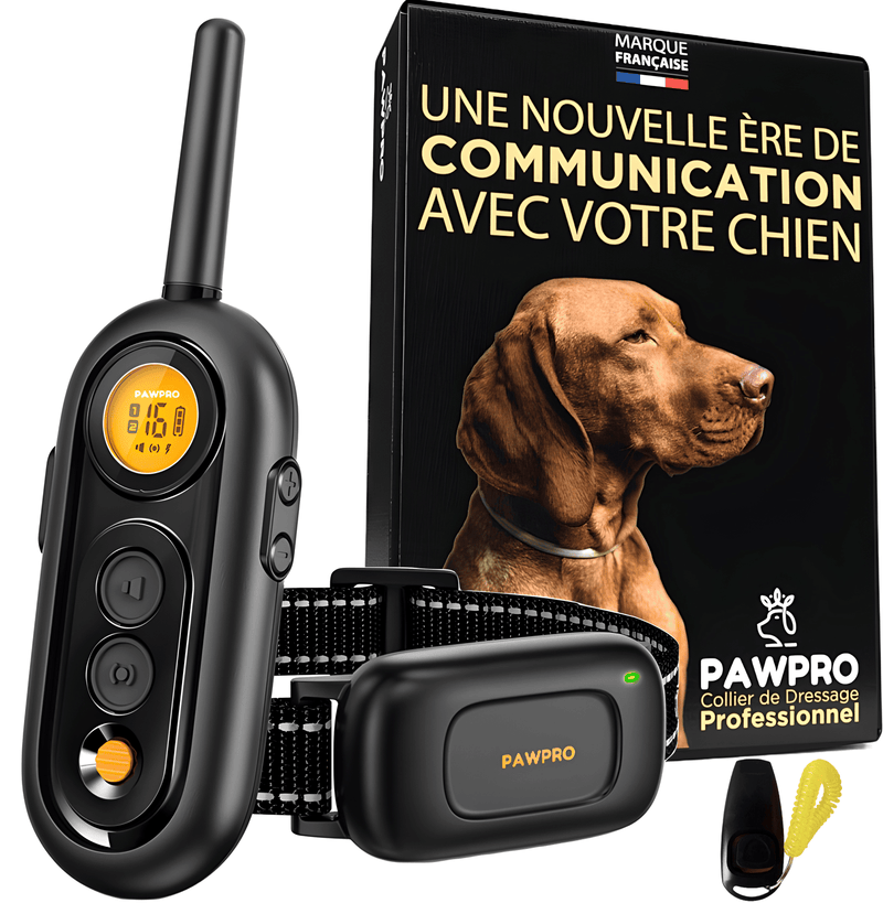 Collier de Dressage PAWPRO PP6