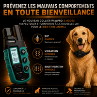 Collier de Dressage PAWPRO ALPHA1 — Voir image 4
