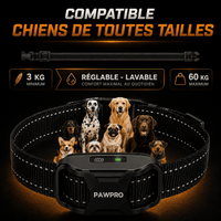 Collier de Dressage PAWPRO ALPHA1 — Voir image 6