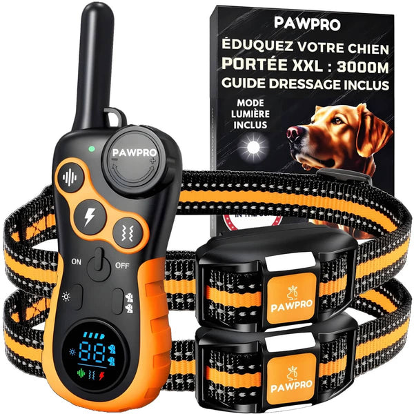 Collier de Dressage PAWPRO Ultimate