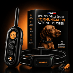 PAWPRO PP6 Dog Training Collar