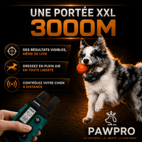 Collier de Dressage PAWPRO ALPHA1 — Voir image 5