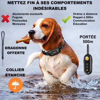 Collier de Dressage PAWPRO PP6 — Se bild 3