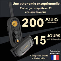 Collier de Dressage PAWPRO PP6 — Se bild 5