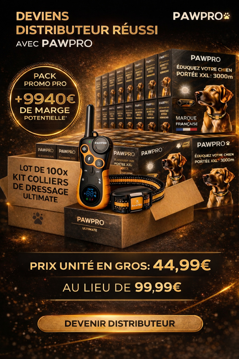 Achat en gros : 100x Coffret Ultimate