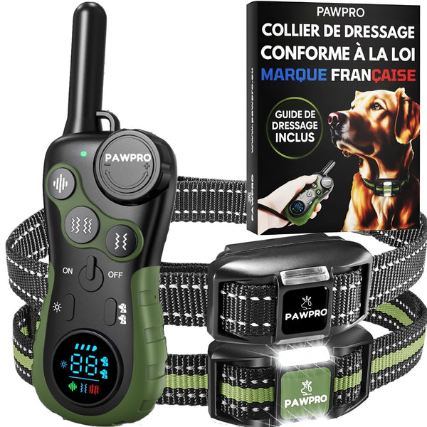 Nouveau Collier Conforme Proposition de Loi - Modèle ULTIMATE