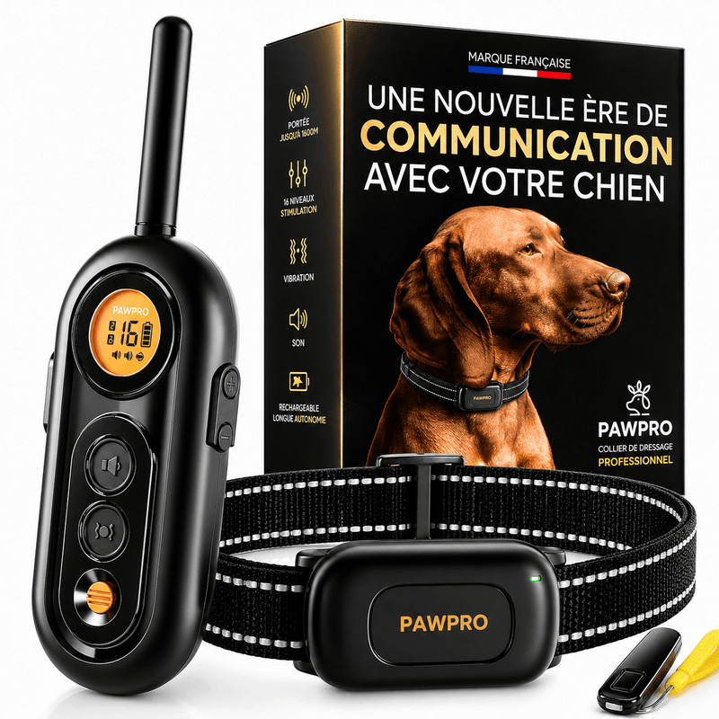 Collier de Dressage pour Chien — PP6-A