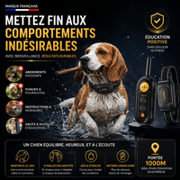 Collier de Dressage PAWPRO PP6 — Voir image 2