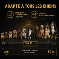 Collier de Dressage PAWPRO PP6 — Voir image 3