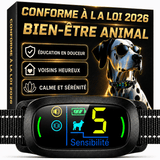 Collier Anti-Aboiement Conforme Nouvelle Loi - Modèle ALPHA2
