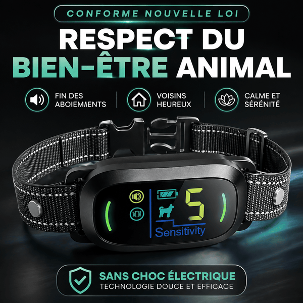Collier Anti-Aboiement Conforme Nouvelle Loi - Modèle ALPHA2