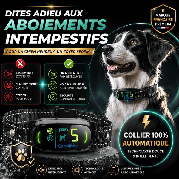 Collier Anti-Aboiement Conforme Nouvelle Loi - Modèle ALPHA2