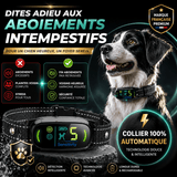 Collier Anti-Aboiement Conforme Nouvelle Loi - Modèle ALPHA2