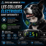 Collier Anti-Aboiement Conforme Nouvelle Loi - Modèle ALPHA2