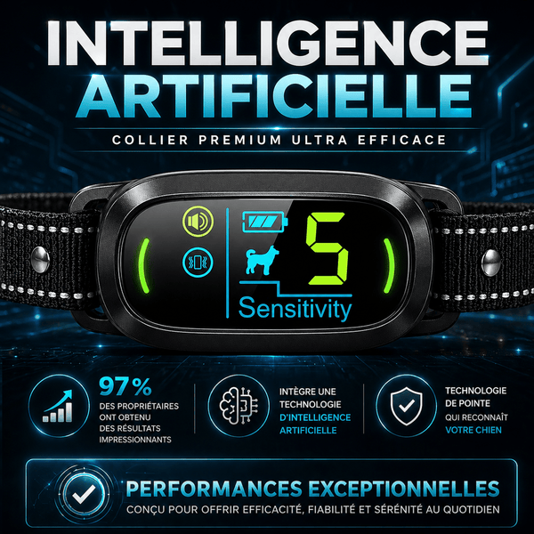 Collier Anti-Aboiement Conforme Nouvelle Loi - Modèle ALPHA2