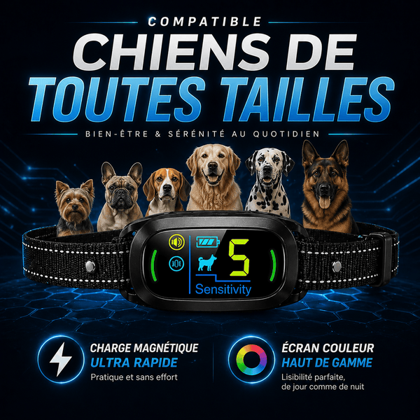 Collier Anti-Aboiement Conforme Nouvelle Loi - Modèle ALPHA2