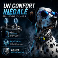 Collier Anti-Aboiement ALPHA2 — Voir image 7
