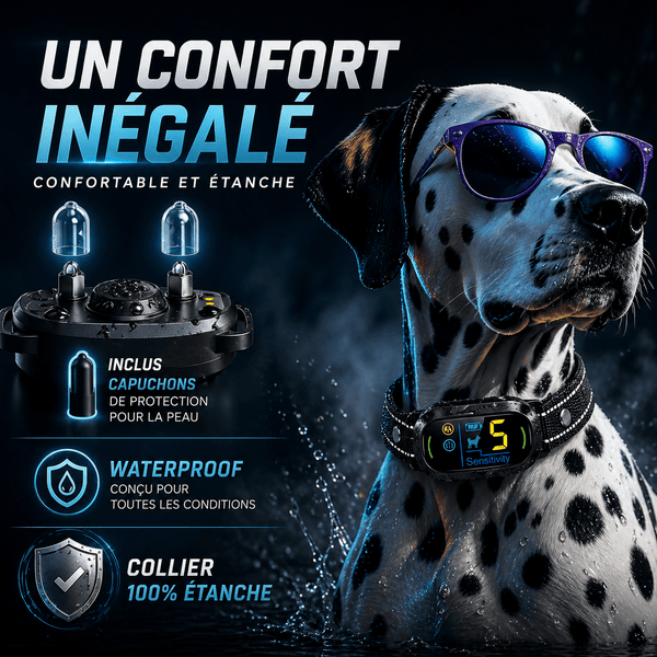 Collier Anti-Aboiement Conforme Nouvelle Loi - Modèle ALPHA2