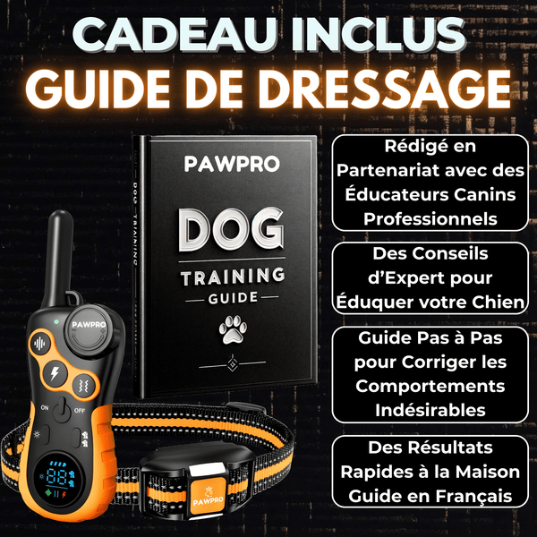 Collier de Dressage PAWPRO Ultimate