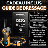 Collier de Dressage PAWPRO Ultimate