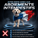 Collier Anti-Aboiement PAWPRO - Recommandé Vétérinaire