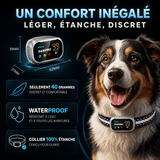Collier Anti-Aboiement PAWPRO - Recommandé Vétérinaire