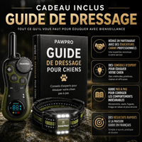 Collier de Dressage Ultimate Sans Choc — Voir image 4