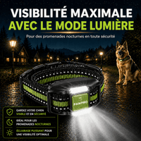 Collier de Dressage Ultimate Sans Choc — Voir image 5