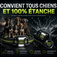 Collier de Dressage Ultimate Sans Choc — Voir image 6