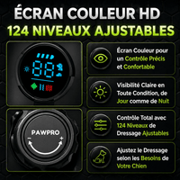 Collier de Dressage Ultimate Sans Choc — Voir image 7