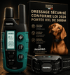 Collier de Dressage PAWPRO ALPHA1