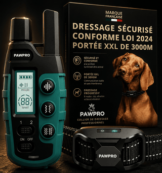 Collier de Dressage PAWPRO ALPHA1