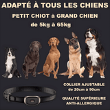 collier de dressage chien