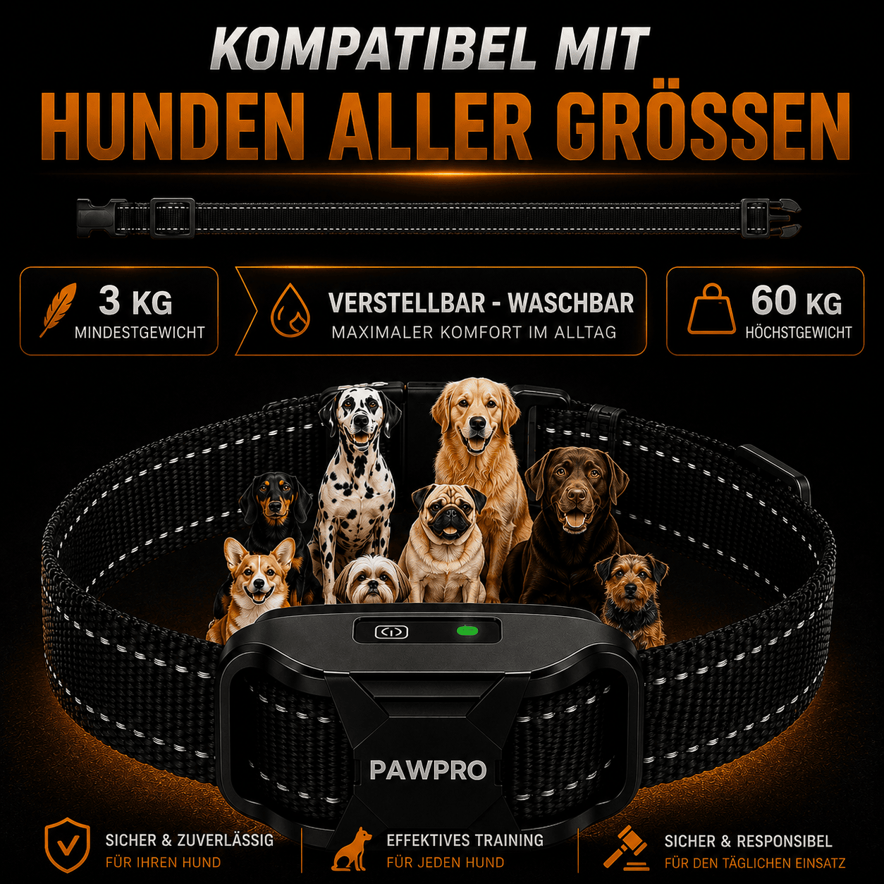 PAWPRO Alpha1 – Erziehungshalsband 100 % ohne Stromimpuls — Bild ansehen 6