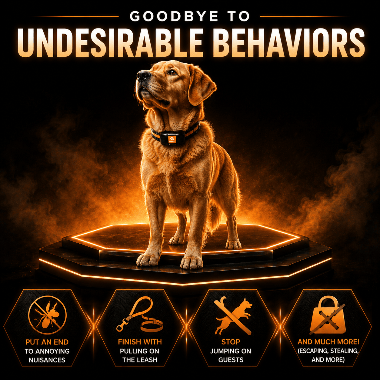 Collar de Adiestramiento PAWPRO Ultimate — Ver imagen 3