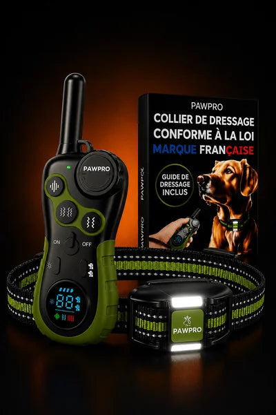 Collier de Dressage Ultimate Sans Choc — Voir image 1