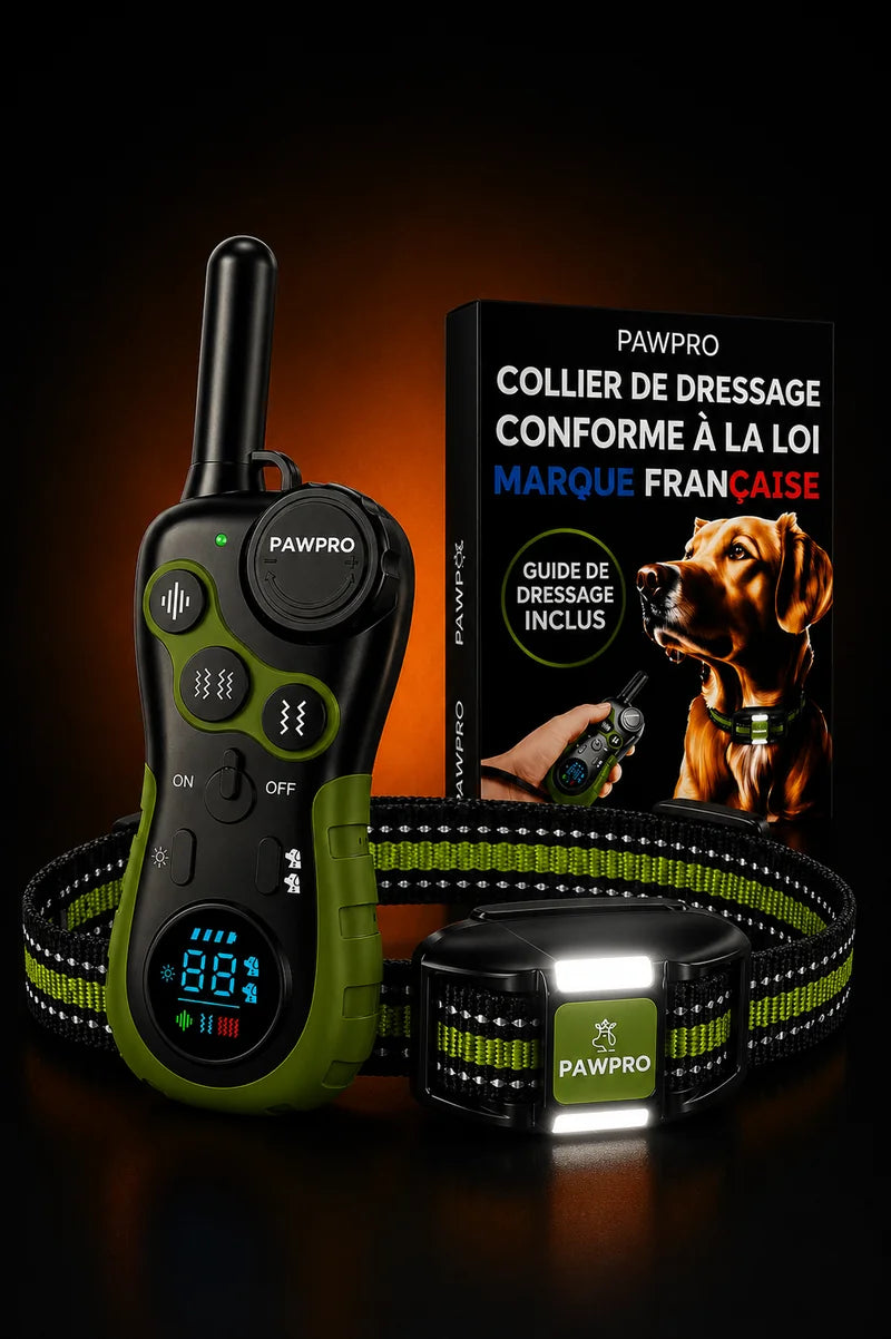 Collier de Dressage Ultimate Sans Choc